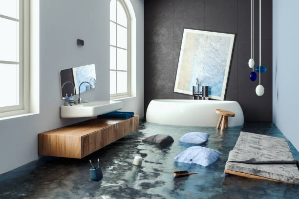 Best Professional water damage repair  in Foster City, CA