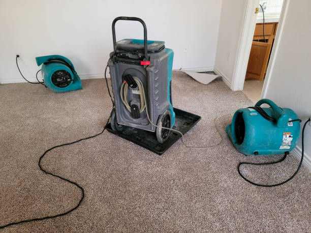 Best Carpet water damage restoration  in Foster City, CA