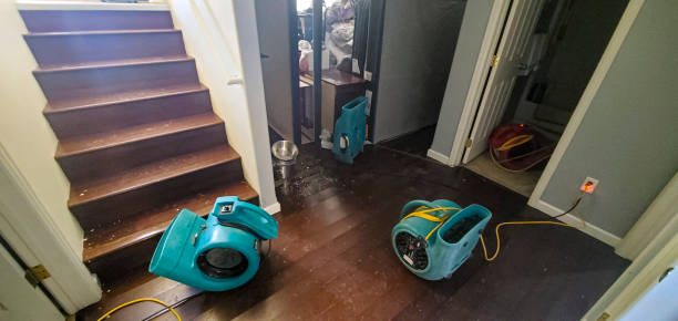Best Water damage contractors near me  in Foster City, CA