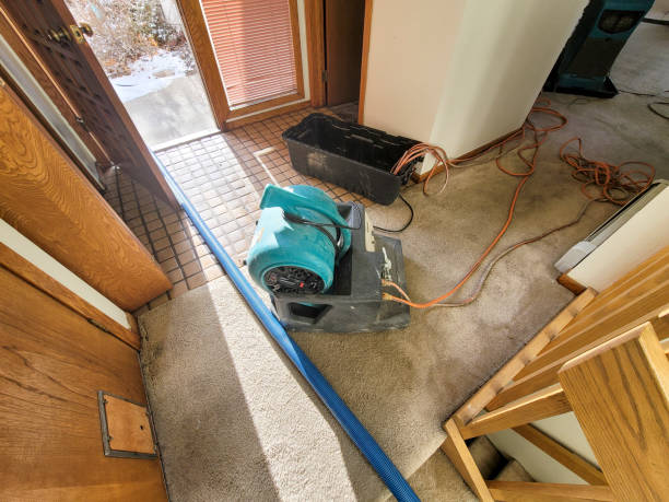 Best Water damage cleanup near me  in Foster City, CA