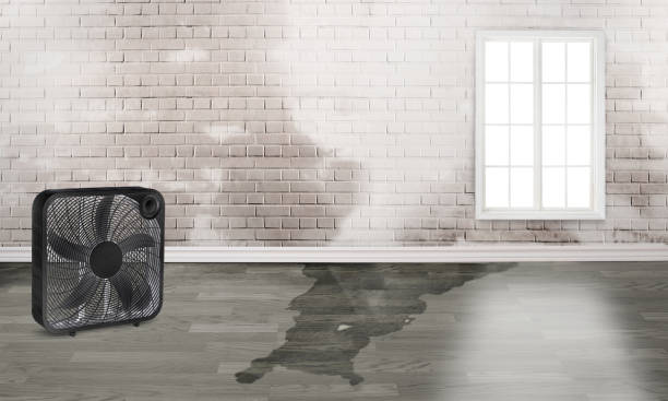 Best Basement water damage restoration  in Foster City, CA