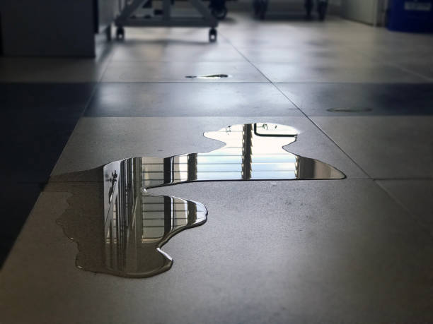 Best Carpet water damage restoration  in Foster City, CA