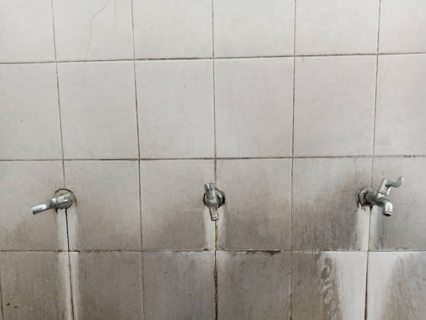 Best Water damage restoration near me  in Foster City, CA