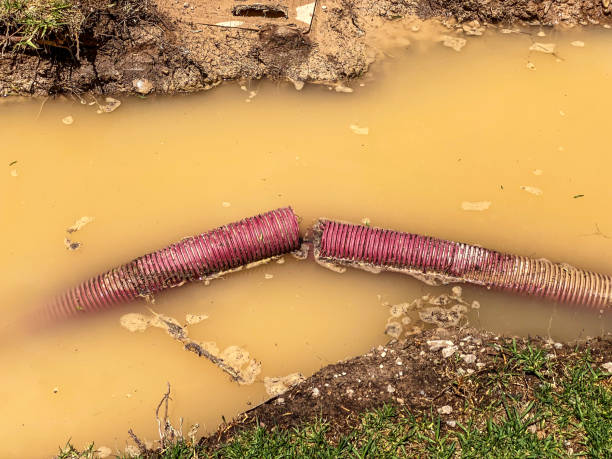 Local water damage restoration in Foster City, CA