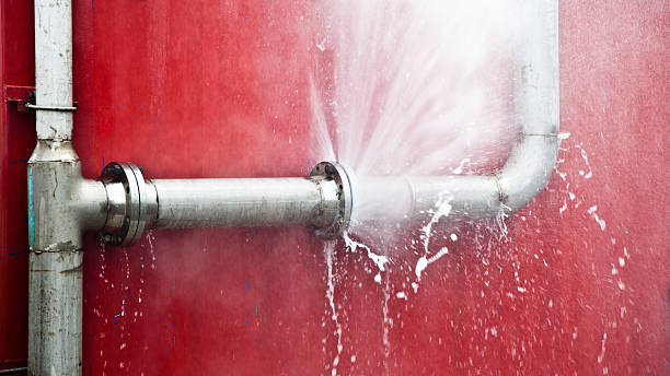 Best Water damage restoration mold remediation  in Foster City, CA